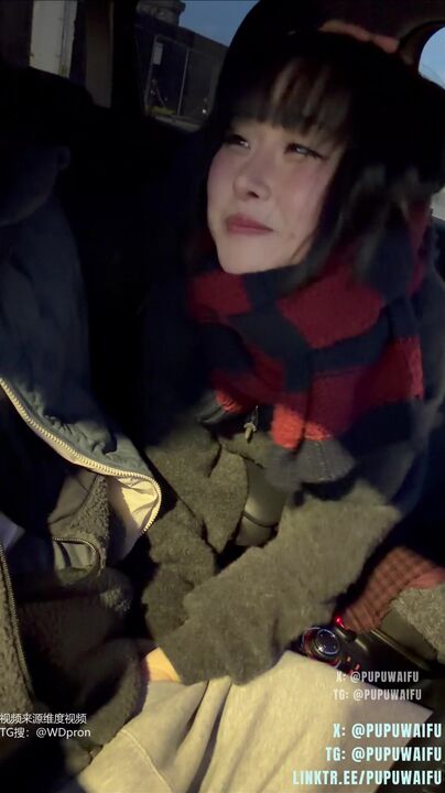 Having oral sex in car after watching the sunset[1] 