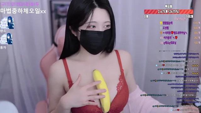 [Korean BJ] tjfflddl7 2024-11-08 