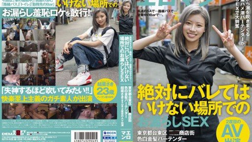 SDTH-028 At A High-speed SA... On A Route Bus... At A Bar In Operation... Leaking SEX In A Place Where You Should Never Find Out. AV Appearance Of 