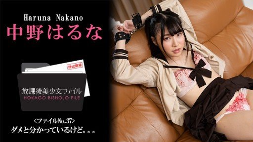HEYZO-3044 Beautiful Girl’s After School Life No.37 -I Know I Shouldnt...- 