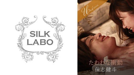 220SILKU-097 heavy impulse 