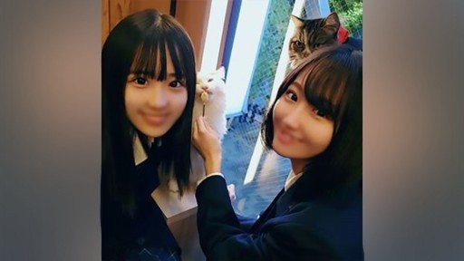 FC2PPV-2477518 Two orthodox beautiful girl students are brought into a closed room for obscene fornication... 3P vaginal cum shot in a developing pure white body! 