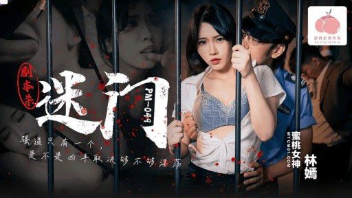 PM-049 The Mystery Gate of Script Killing 