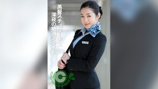 PYU-377 Black-haired stewardess: Midnight orgasm flight 
