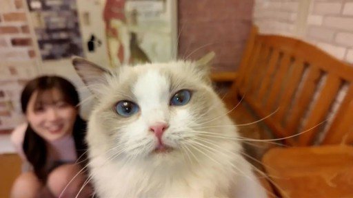 ⁣FC2PPV-4511406 Too cute! Super rare! She was crazy about the cats on a date at a cat cafe. 