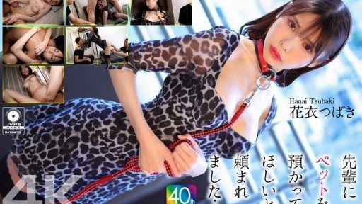 CRNX-254 My senior asked me to take care of his pet... Hanagoromo Tsubaki 